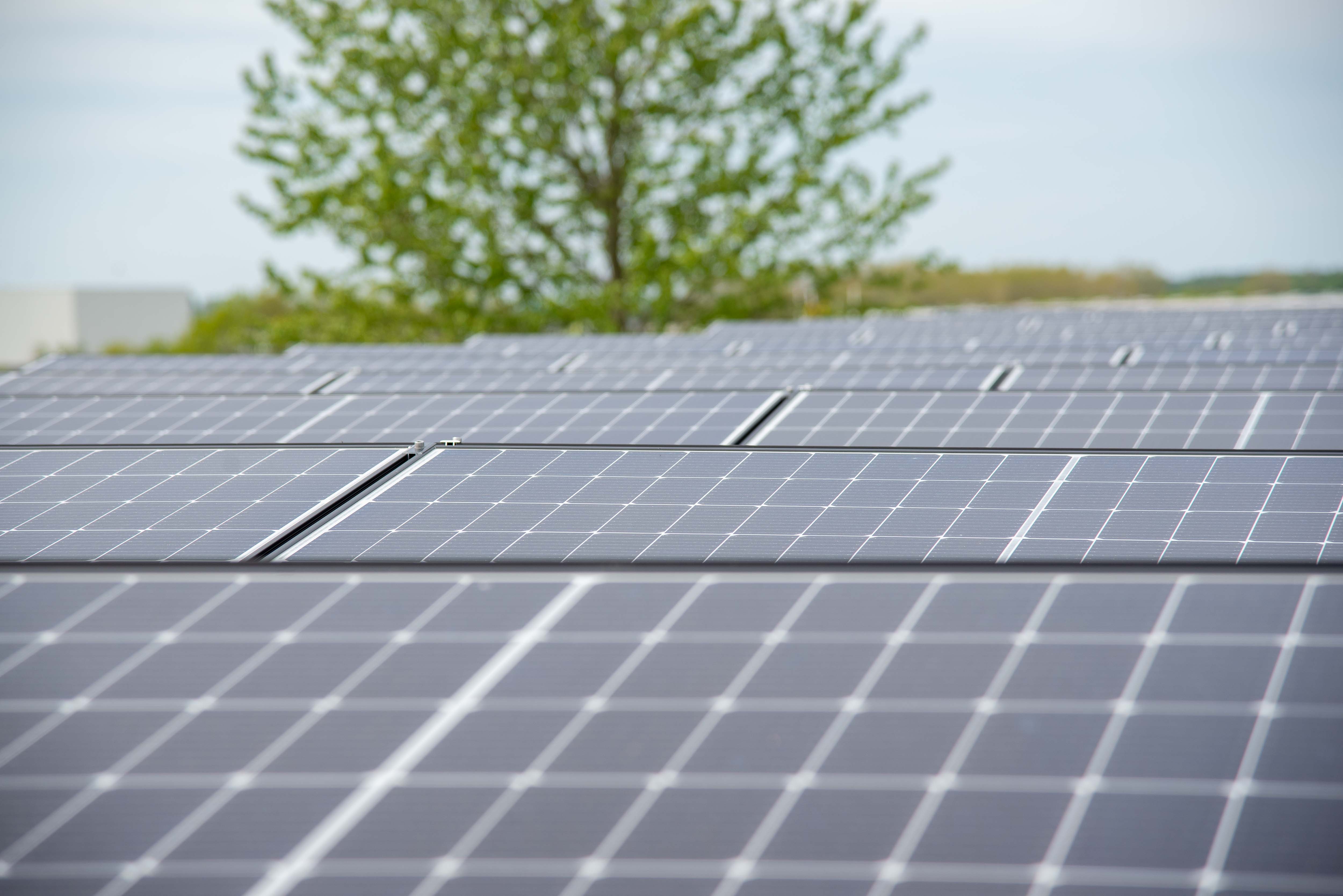 Solceller på taget af Energi Ikast kontorbygning